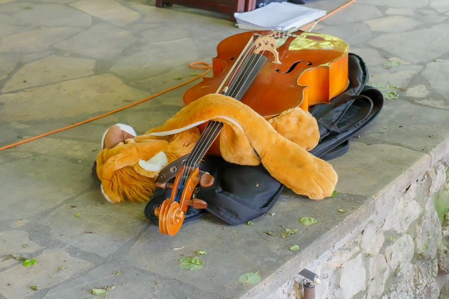 Eventy 8